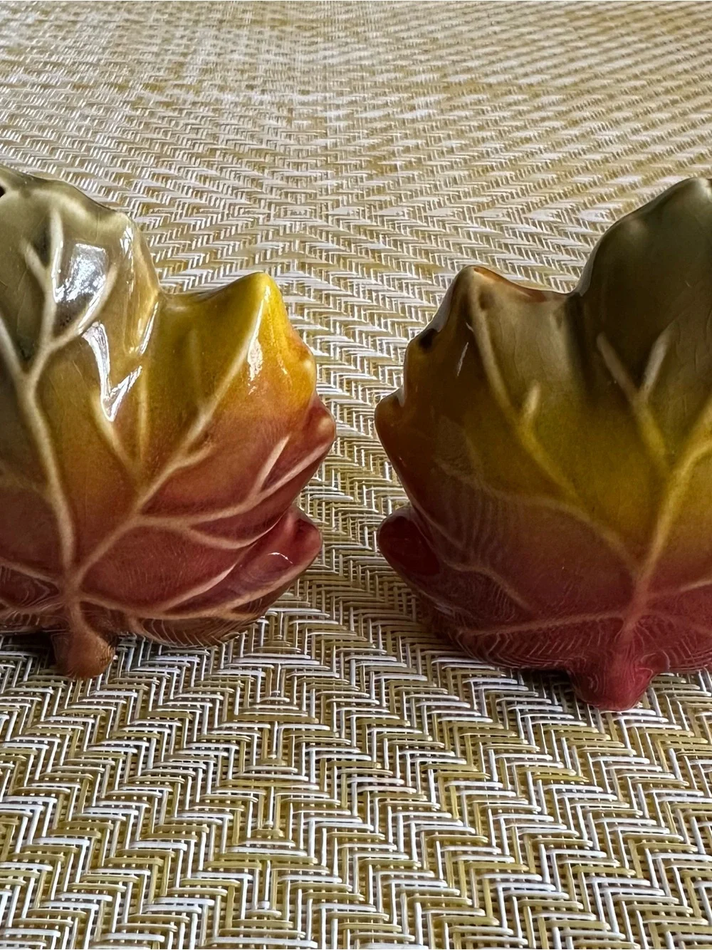 Autumn Leaf Ceramic Salt and Pepper Shakers - Multi colored perfect for Fall